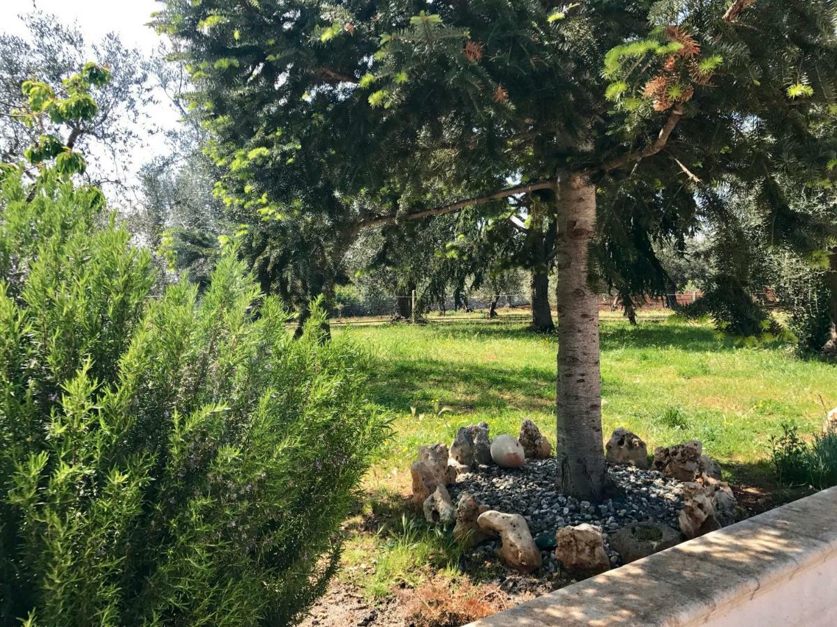 Il Trullo Di Giulietta Bed & Breakfast Impalata Ngoại thất bức ảnh