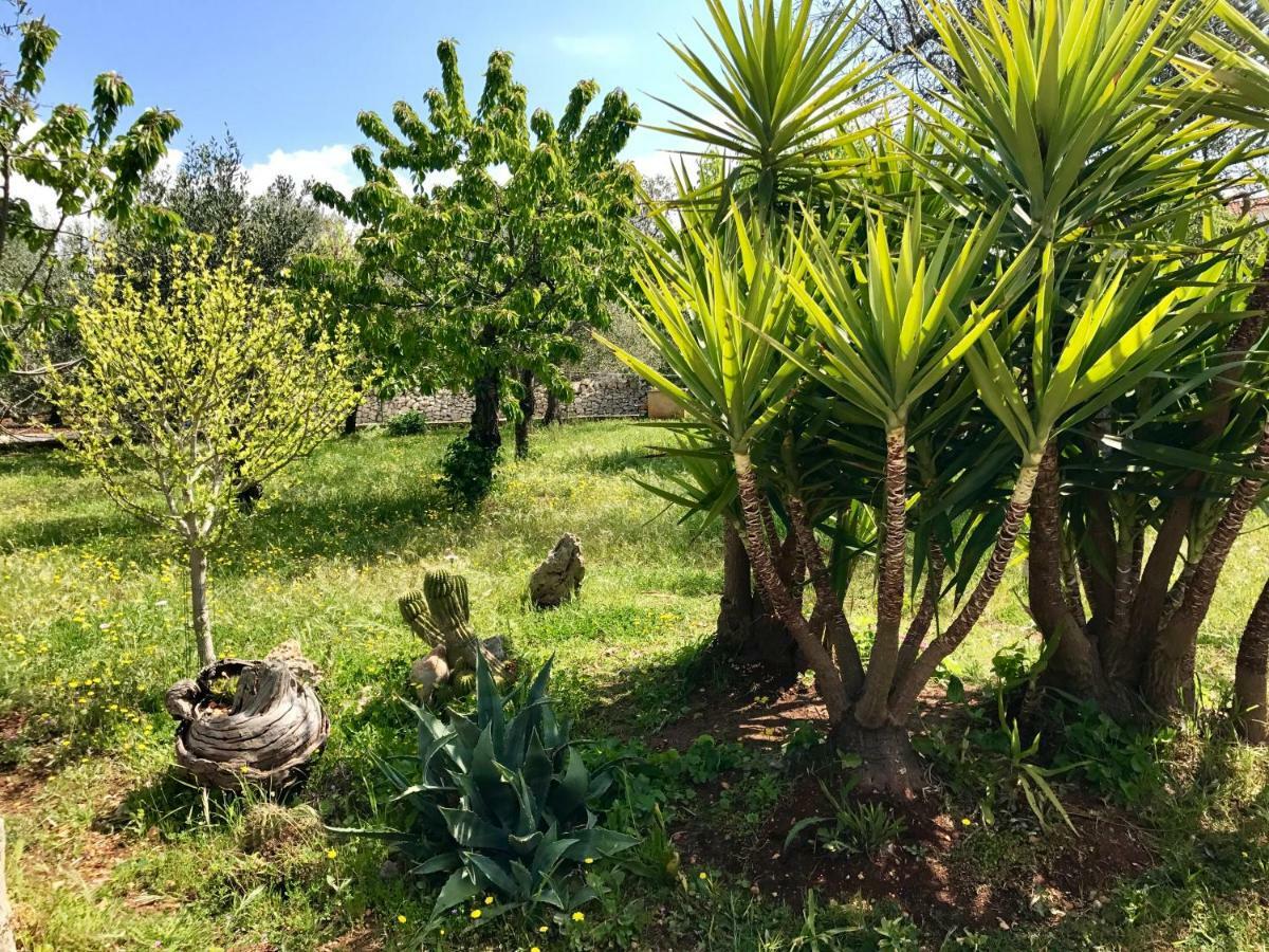 Il Trullo Di Giulietta Bed & Breakfast Impalata Ngoại thất bức ảnh